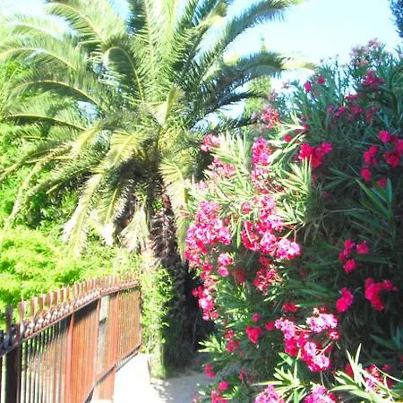 Les Mazets Du Soleil *